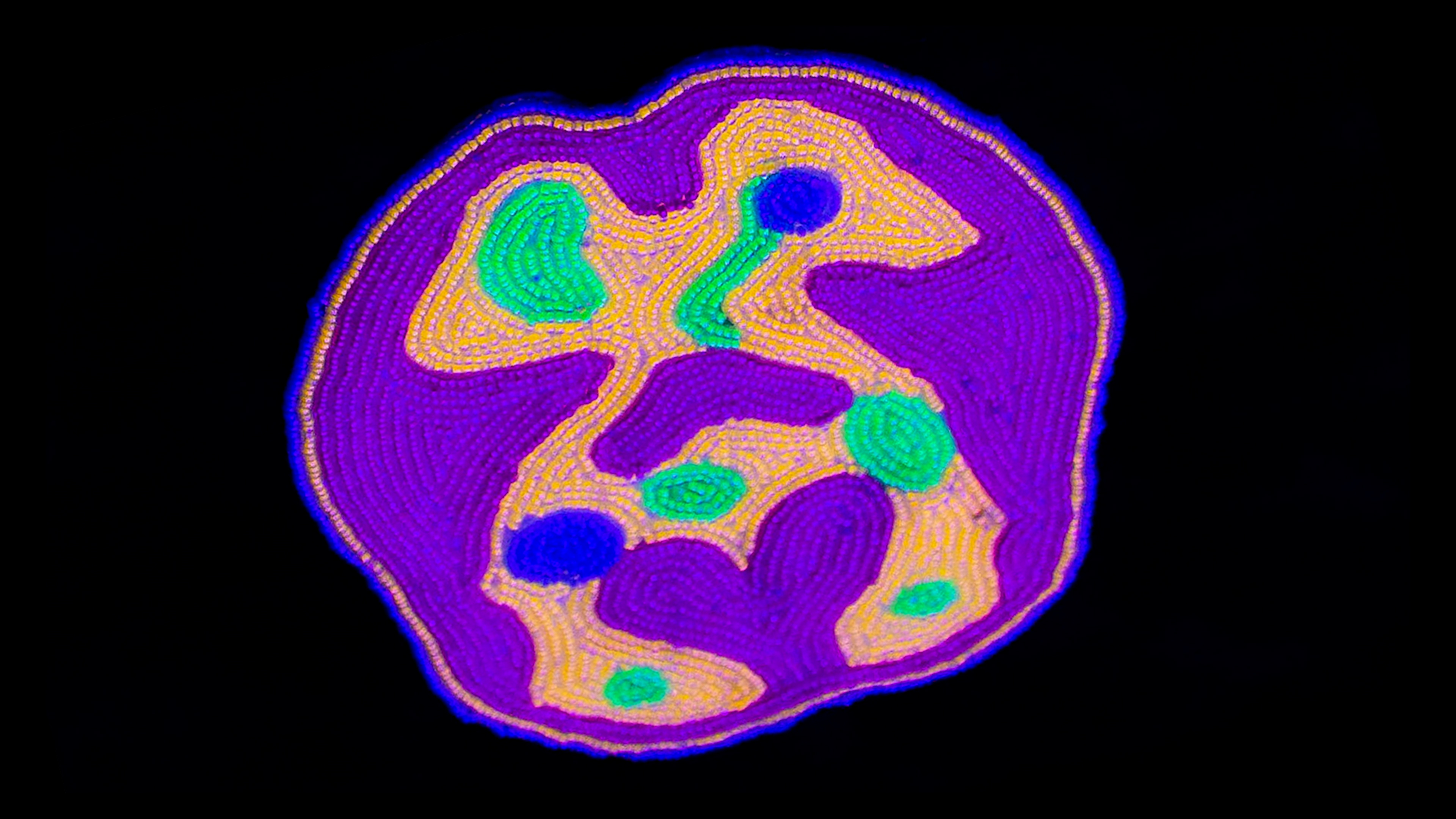 Neurotransmitting, Theo Cuthand