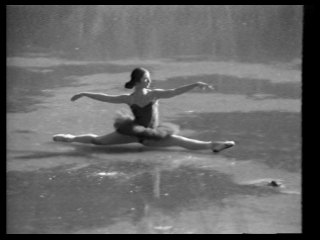 The Dying Swan, Laurie McDonald
