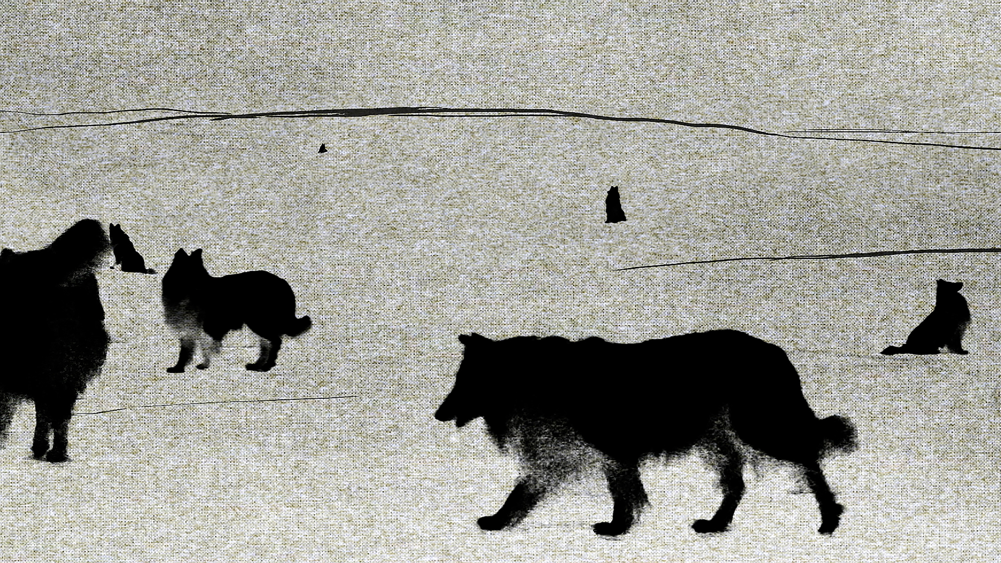 Fabricated in the Actual Arctic, Matthew Lax