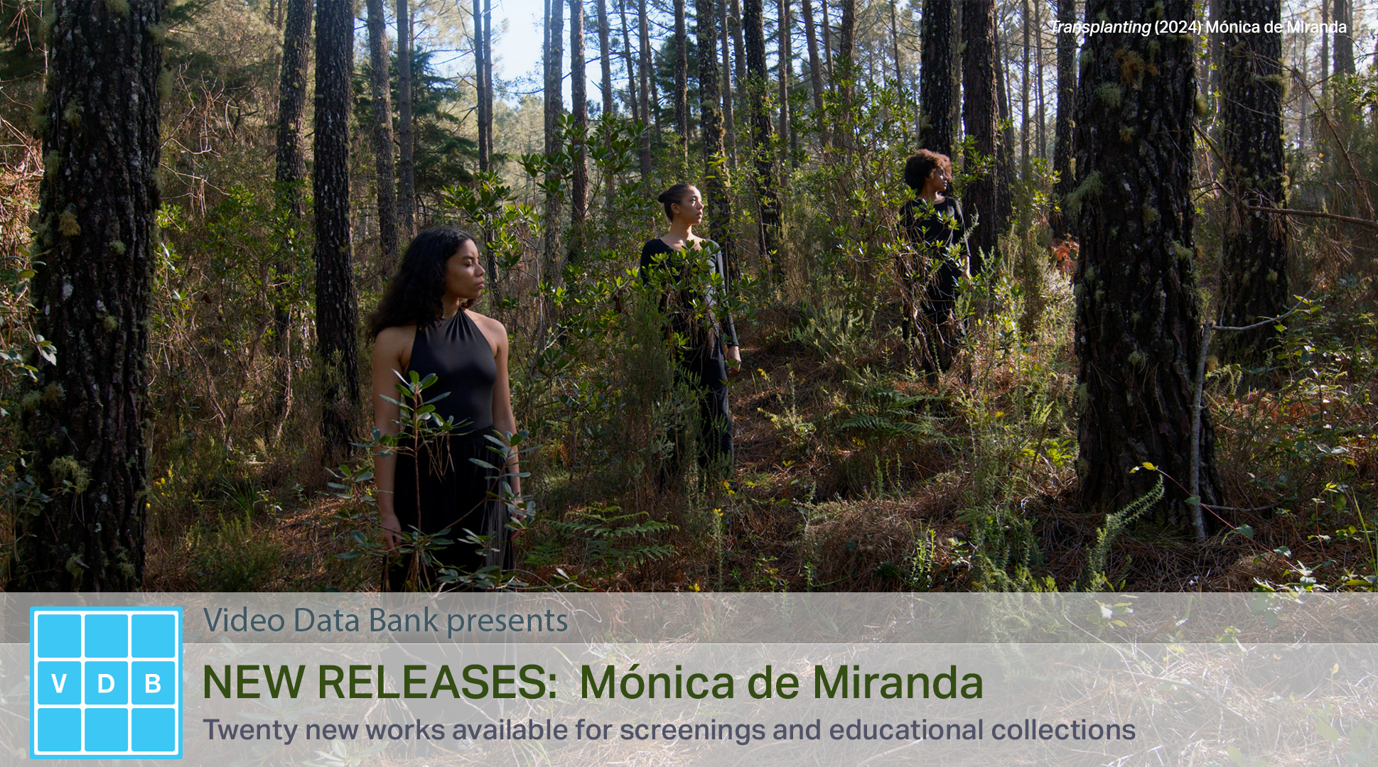 New Releases: Mónica de Miranda
