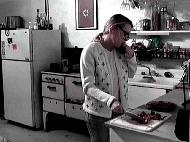 The Real Art World (Episode 1), Laura Parnes