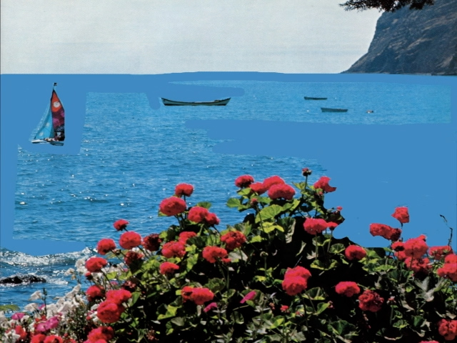 jhana and the rats of james olds: Short Works, Stephanie Barber