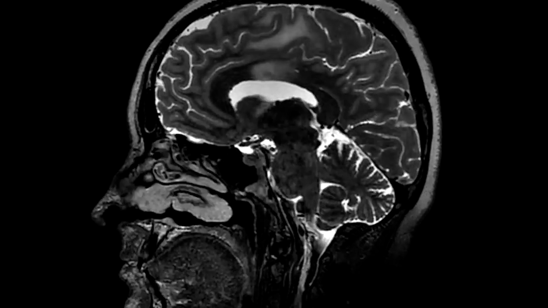 Afraid to Look, Janice Tanaka