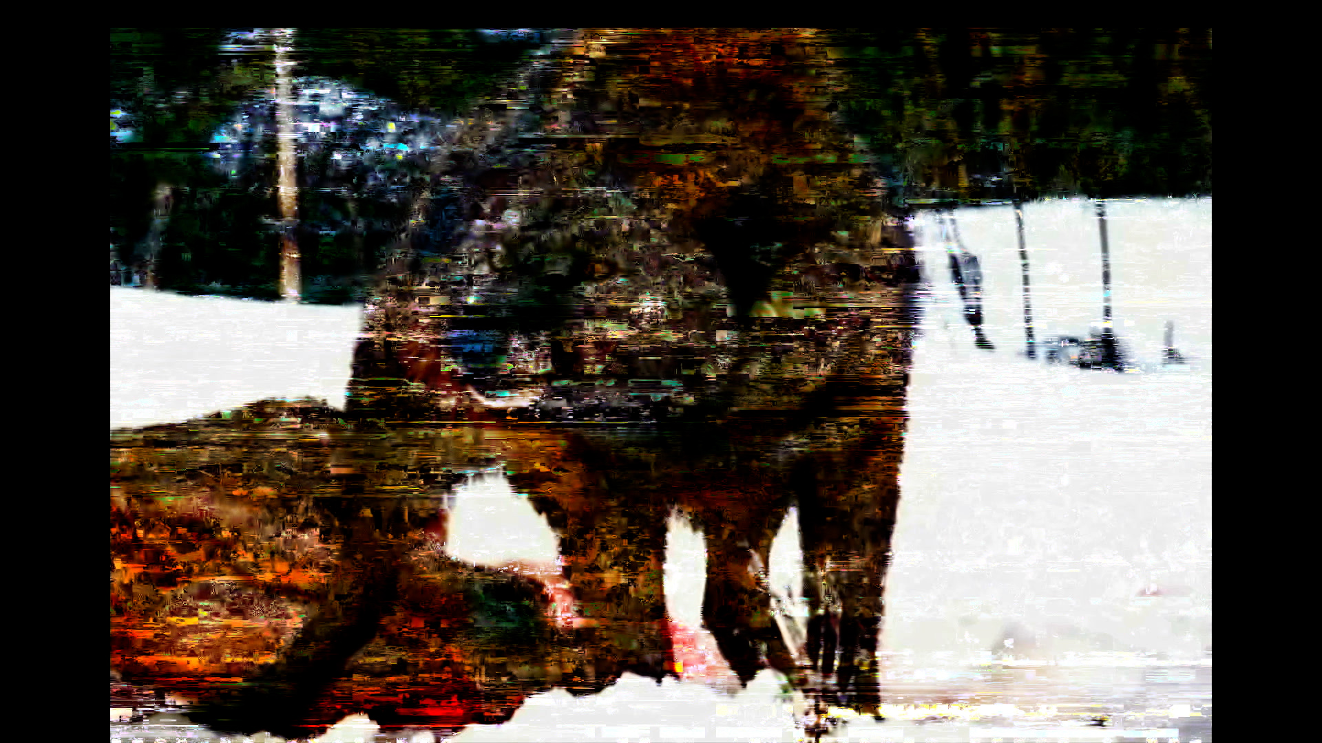 Ancestors, Colectivo Los Ingrávidos