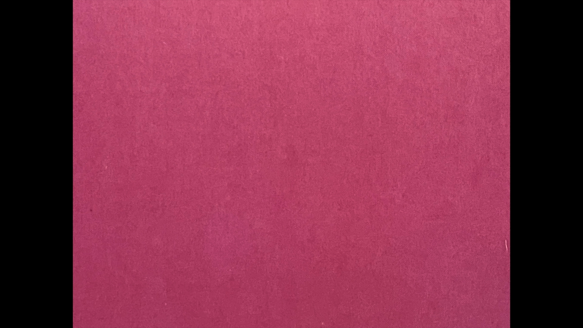 Collateral Fields, Colectivo Los Ingrávidos