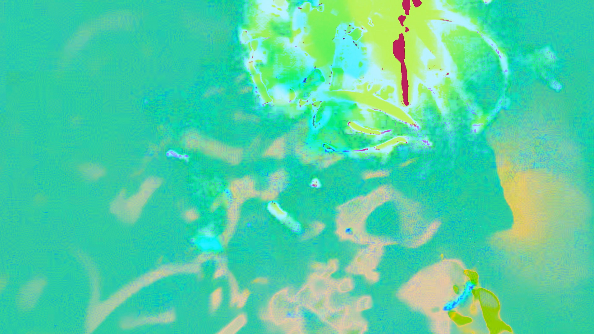 Sedimentos, Colectivo Los Ingrávidos