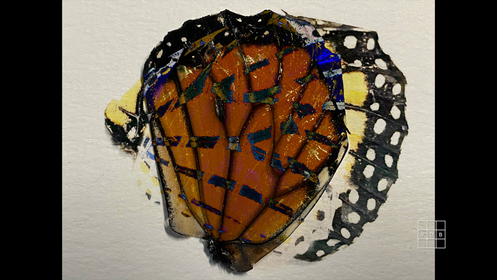 Tale, Colectivo Los Ingrávidos