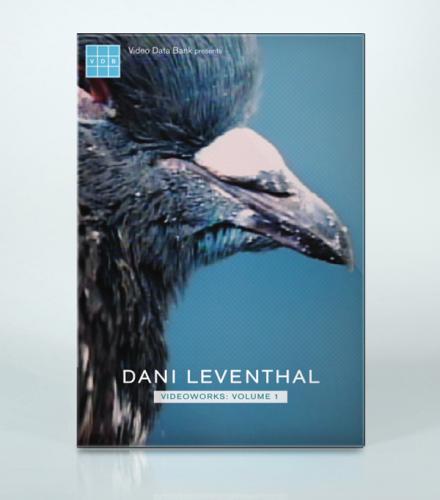 Dani Leventhal Videoworks: Volume 1