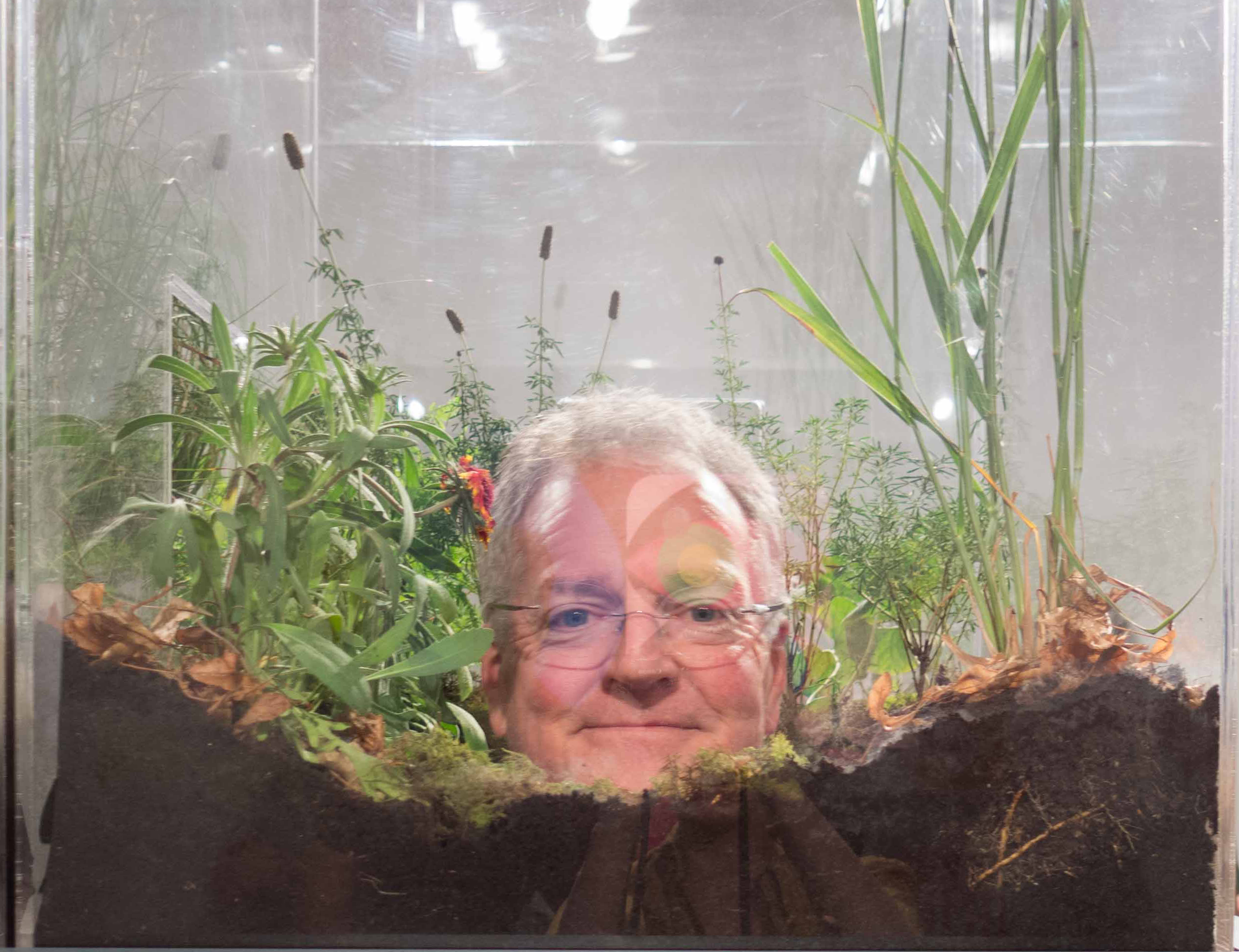 Scott Rankin in Terrarium 2013.jpg