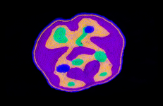 Neurotransmitting, Theo Cuthand