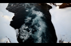 Acts of Disappearance: Death, Julia Hechtman