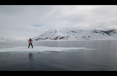 Acts of Disappearance: Environmental, Julia Hechtman