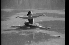 The Dying Swan, Laurie McDonald