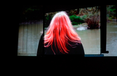 Open Conch, Dani Leventhal ReStack, Sheila ReStack