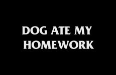 K9 IDIOMS, Matthew Lax