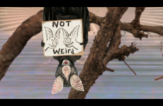Not Yet Out Of The Woods, Jennet Thomas Not Yet Out Of The Woods, Jennet Thomas