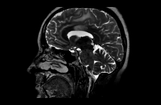 Afraid to Look, Janice Tanaka