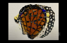 Tale, Colectivo Los Ingrávidos