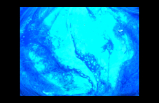 The Waves, Colectivo Los Ingrávidos