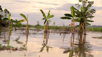 Aequador_still