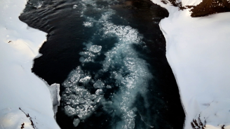 Acts of Disappearance: Death, Julia Hechtman
