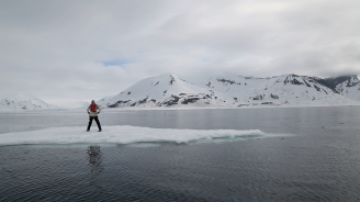 Acts of Disappearance: Environmental, Julia Hechtman