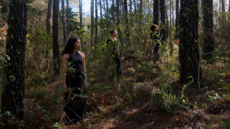 Transplanting, Mónica de Miranda