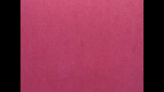 Collateral Fields, Colectivo Los Ingrávidos