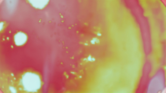 My Structuralist Film, Angelo Madsen