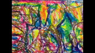 Ramificalons, Colectivo Los Ingrávidos