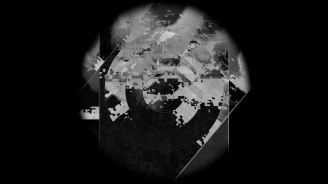 Targets, Colectivo Los Ingrávidos