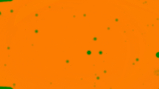 Wandering Blood, Colectivo Los Ingrávidos