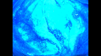 The Waves, Colectivo Los Ingrávidos