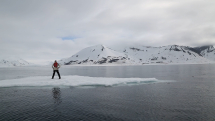 Acts of Disappearance: Environmental, Julia Hechtman