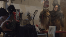 A Tired Dog is a Good Dog, Part 1, Matthew Lax